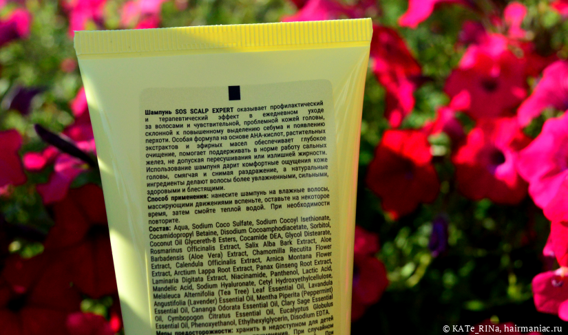 Фото: Состав