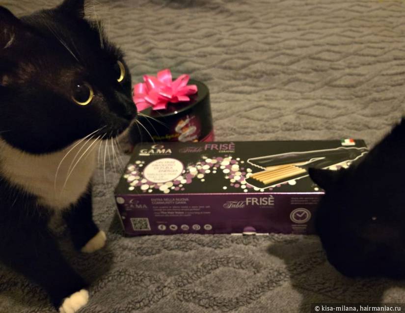 Фото: &nbsp; GA.MA FABLE FRISE