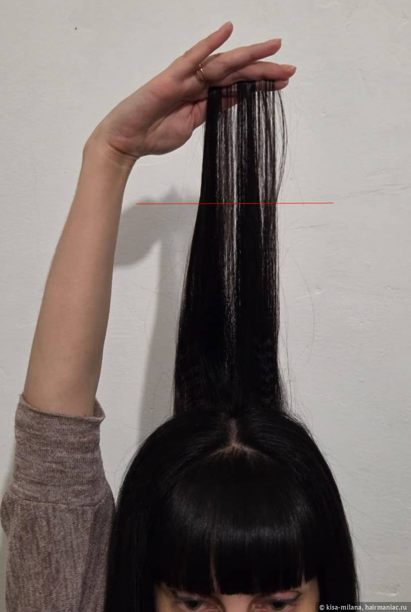 Фото: Густота