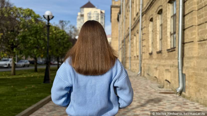 Фото: Волосы только что высушены феном Ionix One