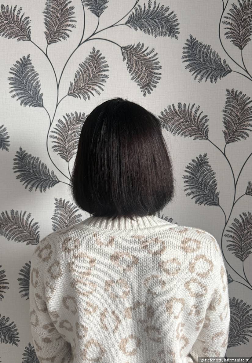 Фото: Состояние волос на данный момент