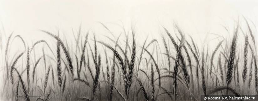 Hong Chun Zhang, artwork with hair Фото: Hong Chun Zhang, artwork with hair