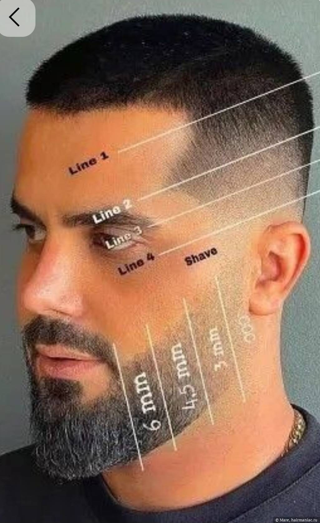 Фото: Схема стрижки 2