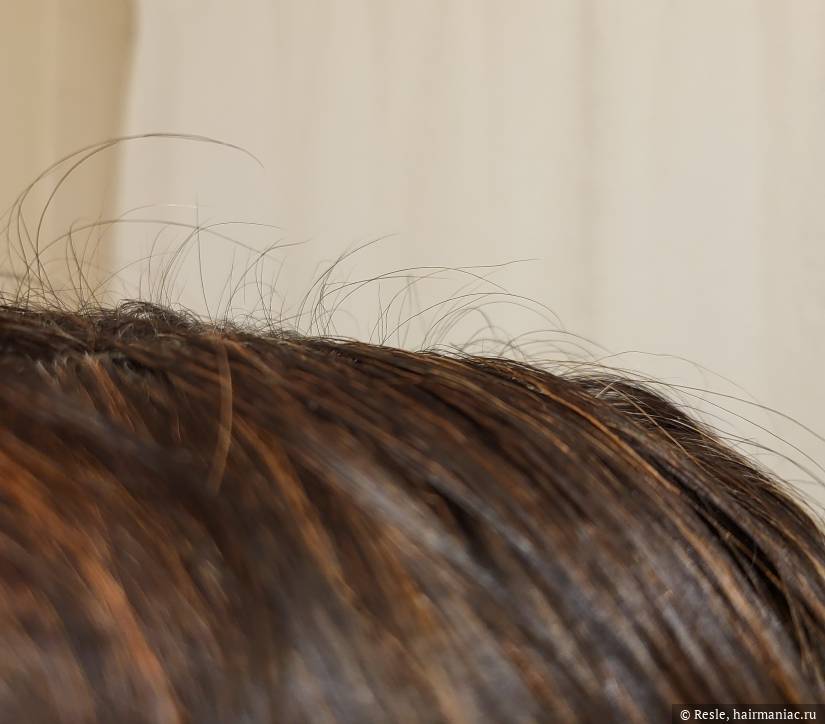 Фото: Новые волосы 1-1.5 см