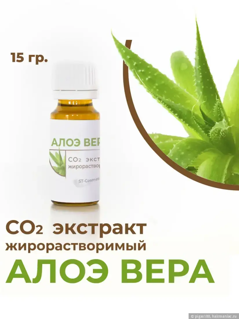 Алоэ вера Фото: Алоэ вера