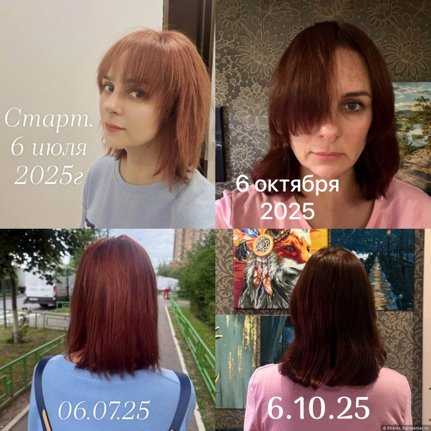 Фото: Особенно хорошо видно по челке