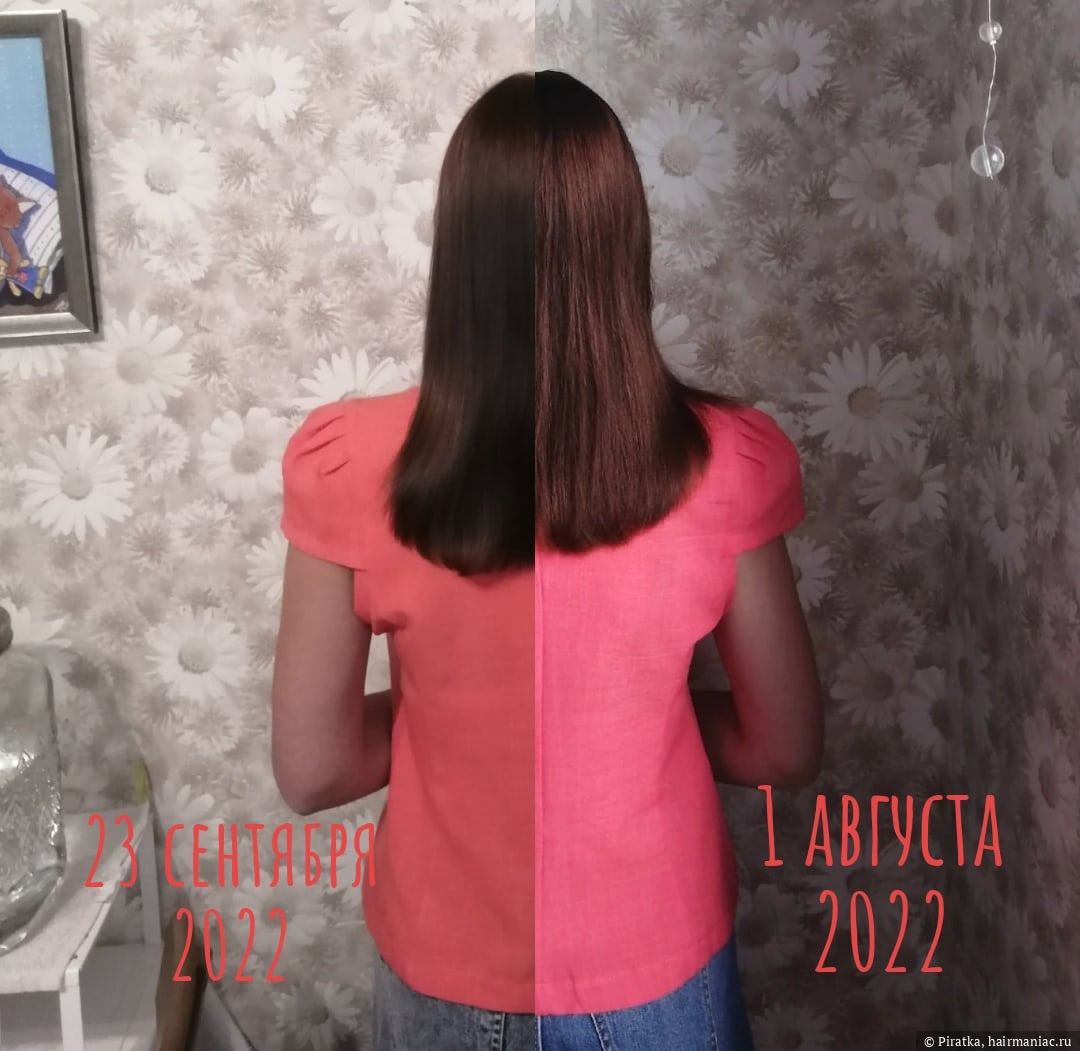 Фото: Динамика