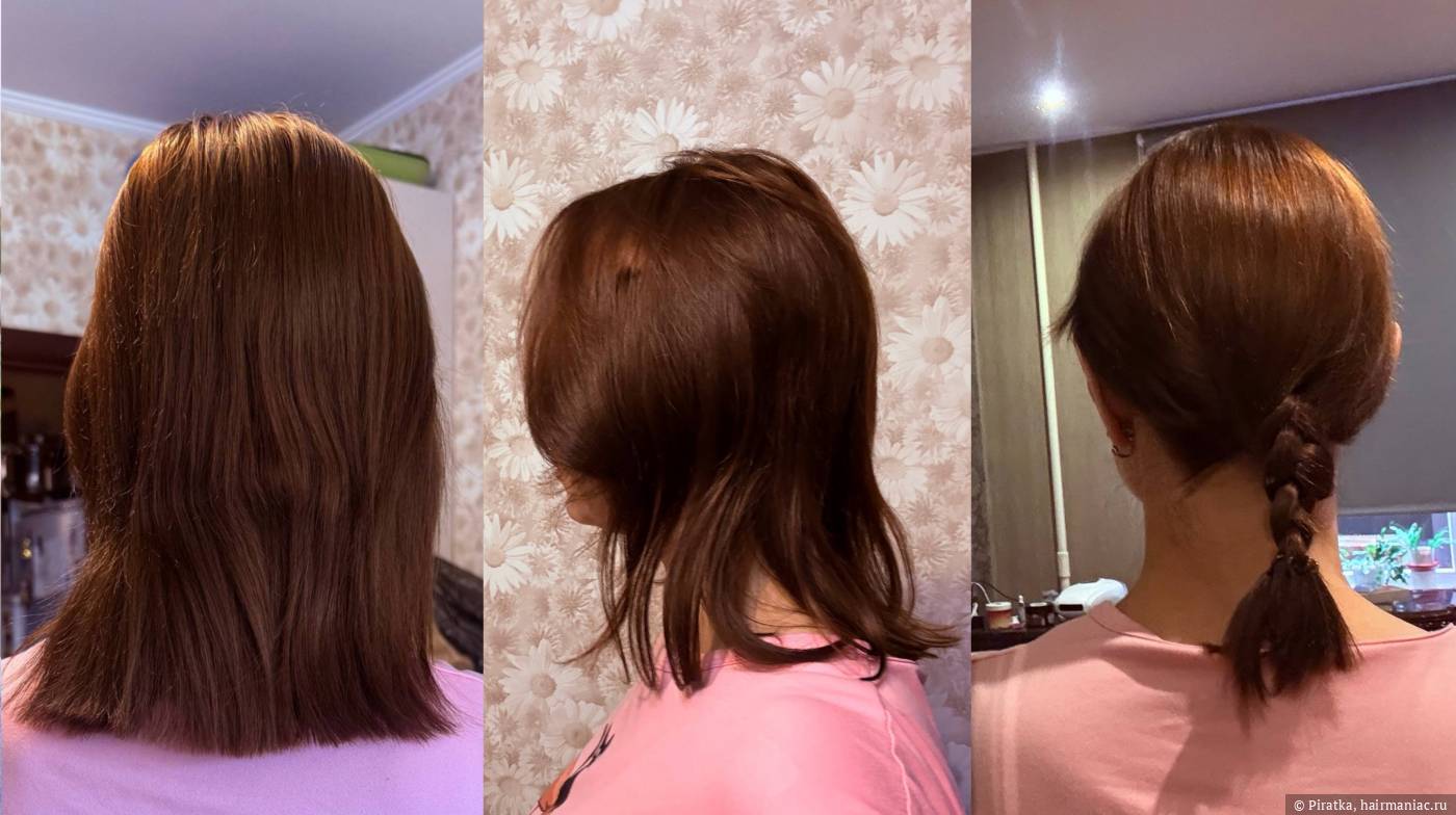 Фото: Аидно, что на макушке довольно густая шапка, а концы...