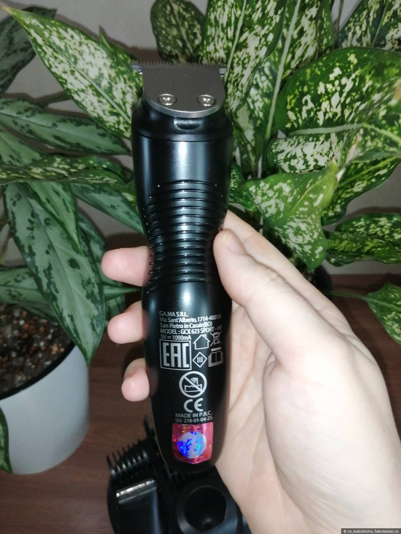 Фото: Внешний вид, фото 2