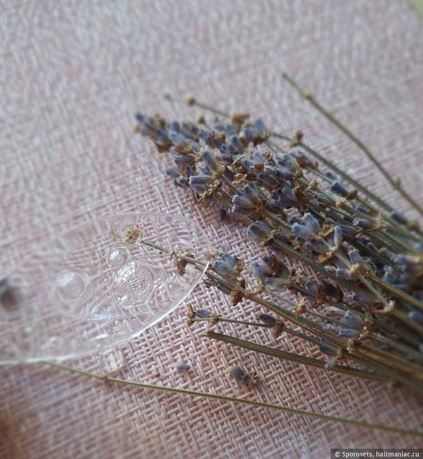 Фото: Консистенция шампуня