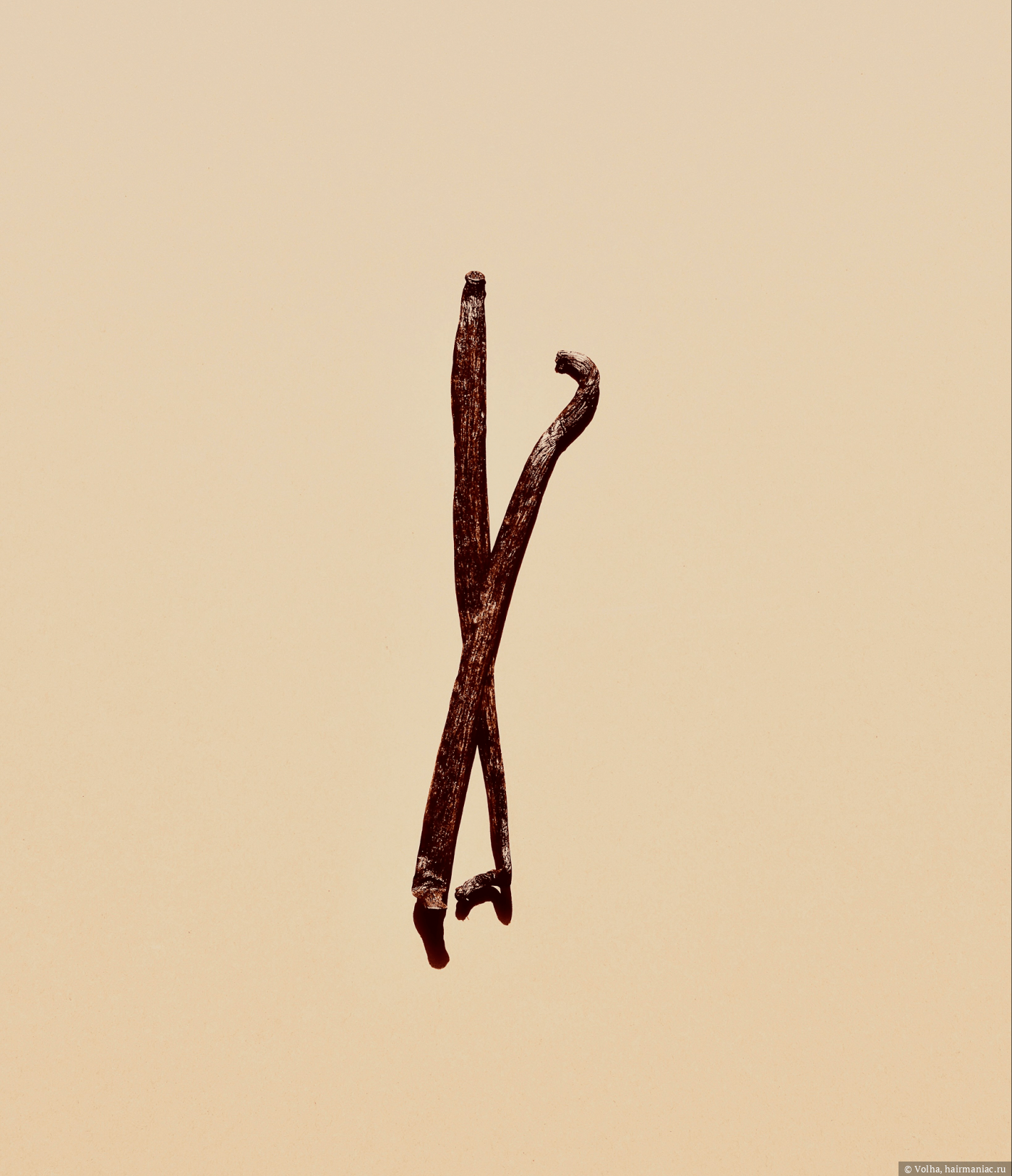 Фото: Базовые ноты, фотография взята с официального сайта&nbsp;