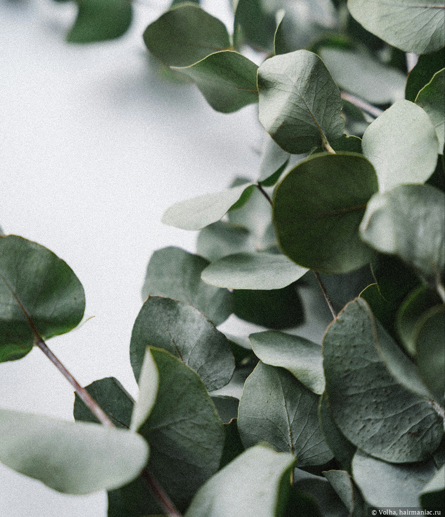 Фото: Базовые ноты, фотография взята с официального сайта&nbsp;