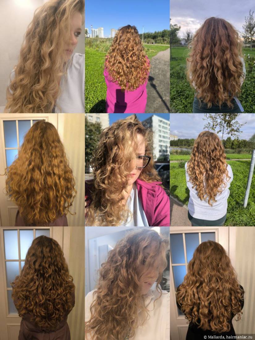 Фото: Укладки сентября