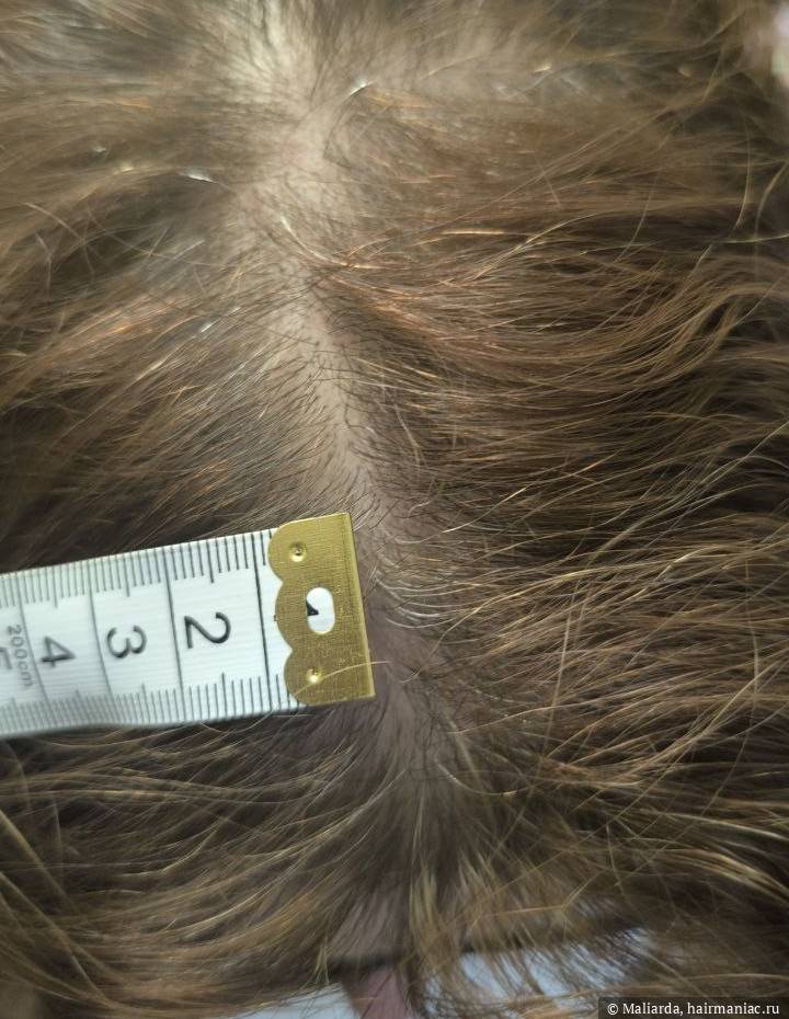 Фото: Ноябрь