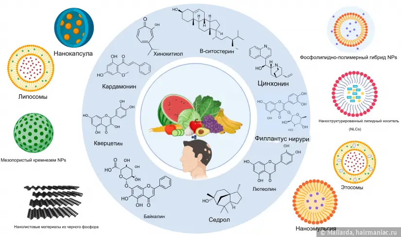 Фото: Нано-системы доставки растительных веществ