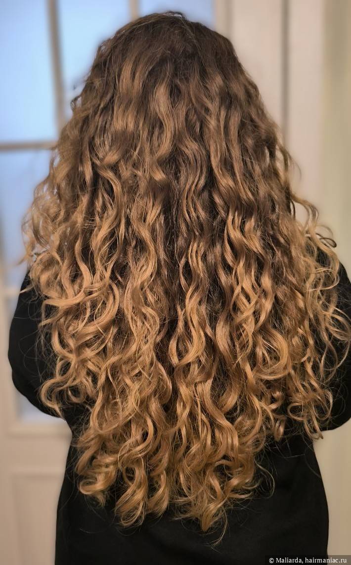 Стартовое состояние волос Фото: Стартовое состояние волос