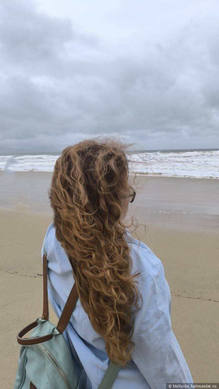 Фото: Пережили пучки, косички, подголовники Сапсана и Аэрофлота