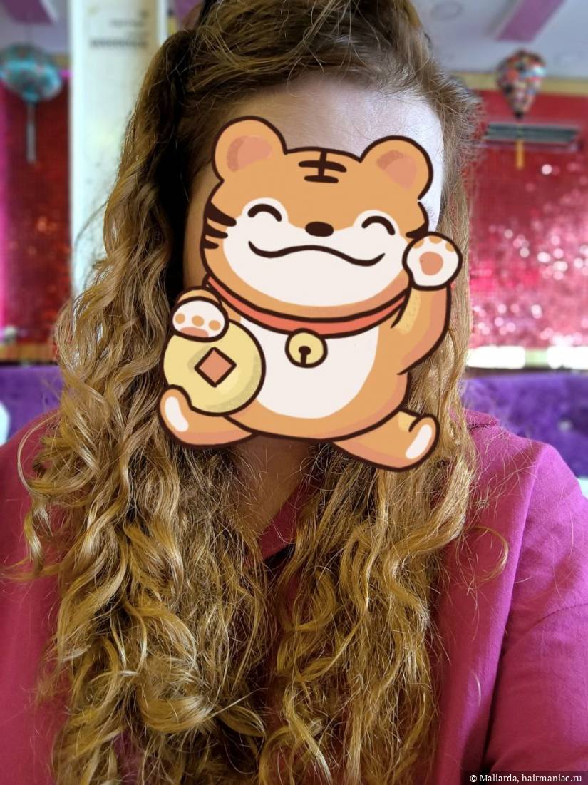 Фото: Вид спереди