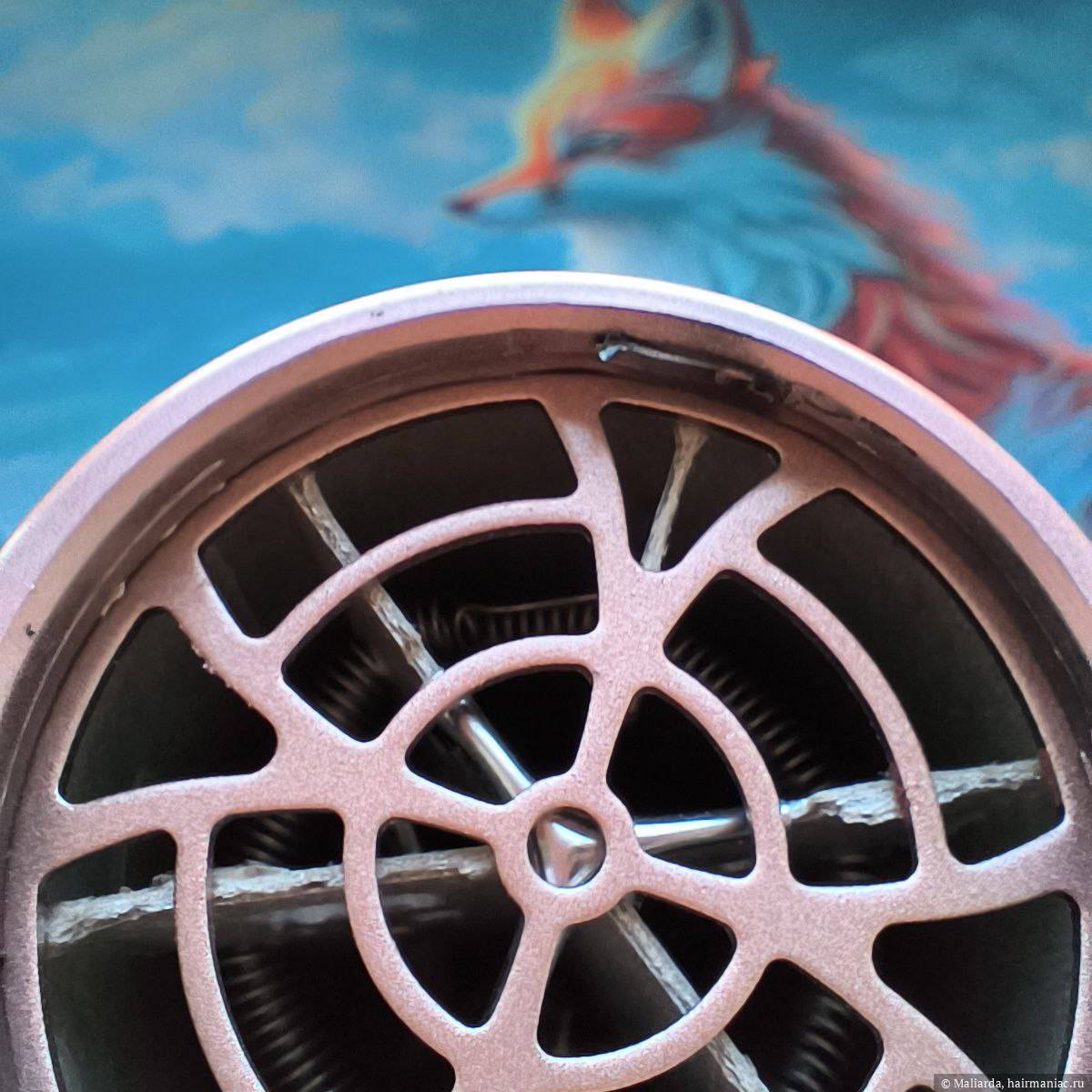 Фото: Носик