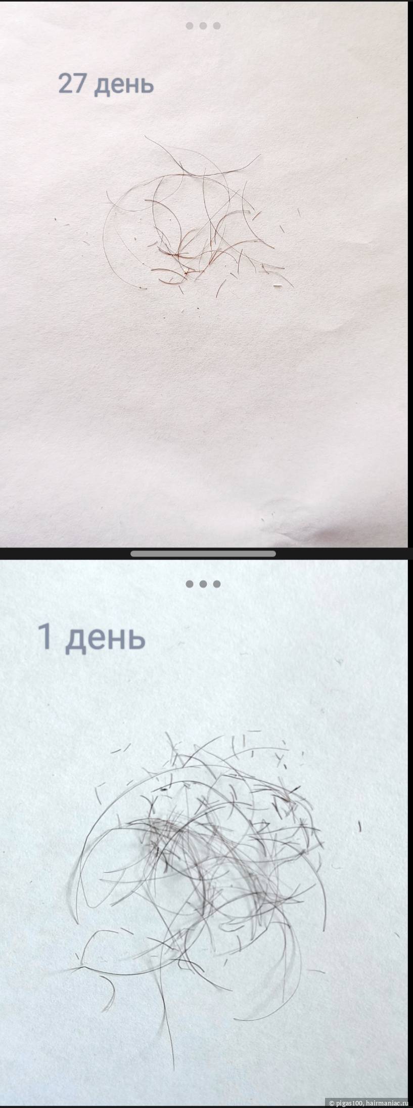 Снизу апрель / сверху июль Фото: Снизу апрель / сверху июль