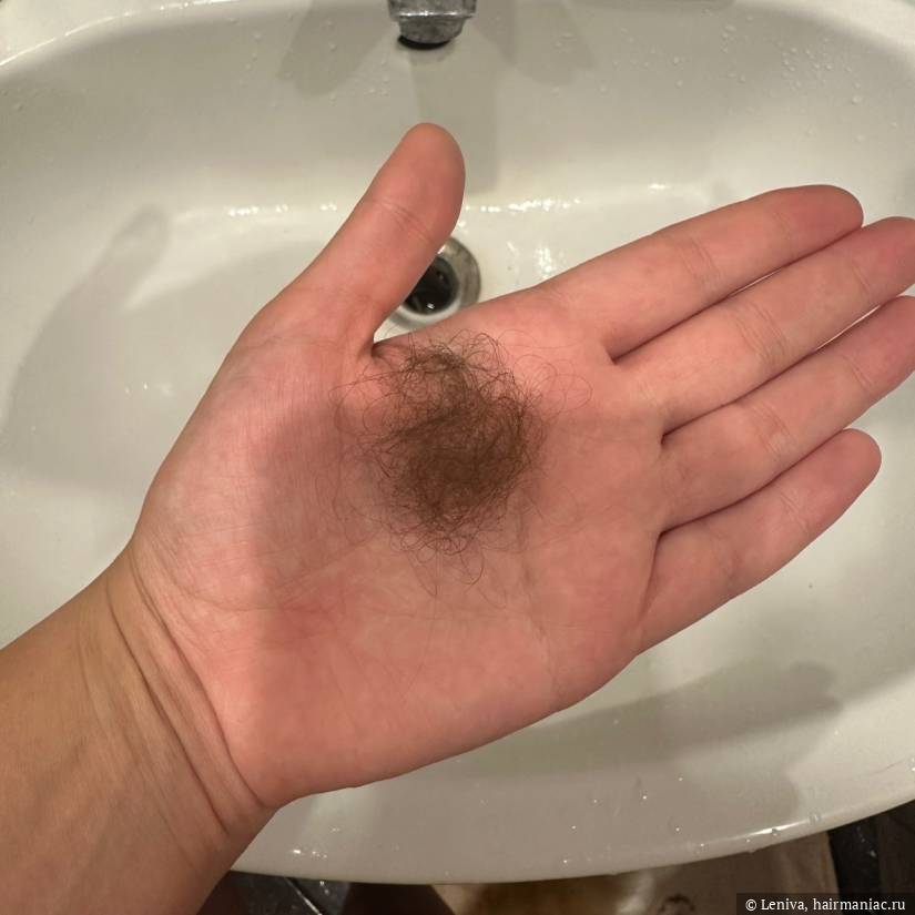 Фото: Потерянные волосы за день в сентябре