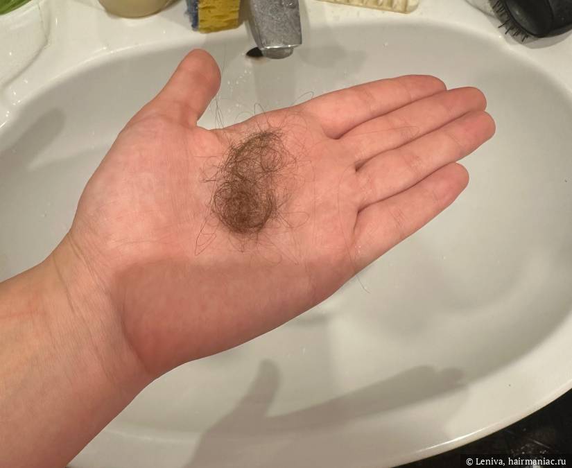 Фото: Потерянные волосы за день в ноябре