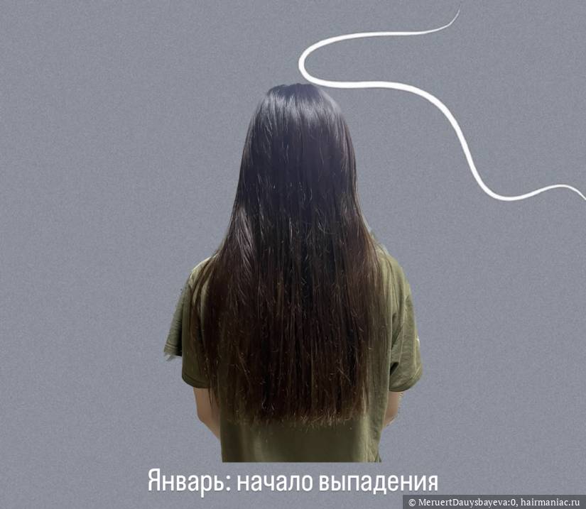 Мои волосы Фото: Мои волосы